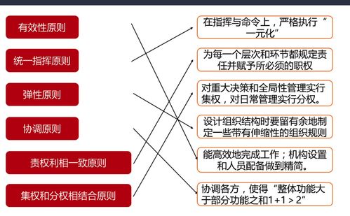 網(wǎng)絡經(jīng)濟時代的企業(yè)管理變革與創(chuàng)新
